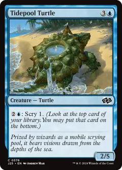 Tidepool Turtle #376