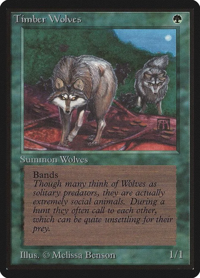 Timber Wolves Magic: The Gathering card, featuring two wolves in a forest scene.