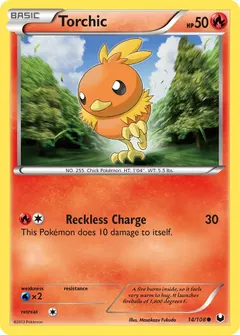 Torchic #14