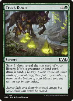 Track Down [Foil] #211