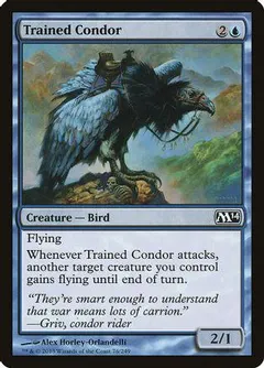 Trained Condor #76