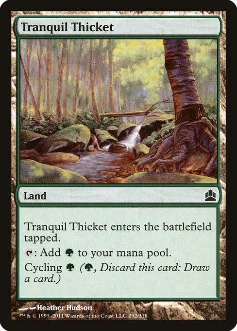 Forest scene with rocks and water on a green land card.