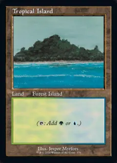 Tropical Island #576
