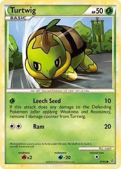 Turtwig #67