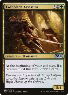 Twinblade Assassin