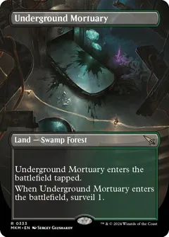 Underground Mortuary [Borderless] #333