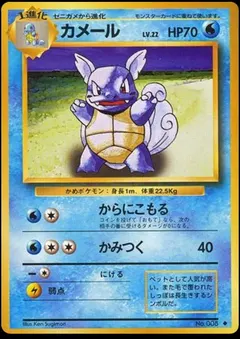 Wartortle #8