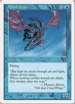 Wind Drake