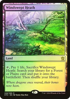 Windswept Heath [Foil] #248