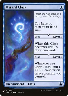 Wizard Class #81