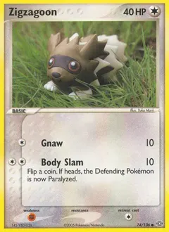 Zigzagoon #74
