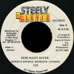 10% – How Many River (Vinyl, 7")