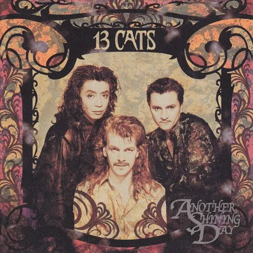 13 Cats (2) – Another Shining Day