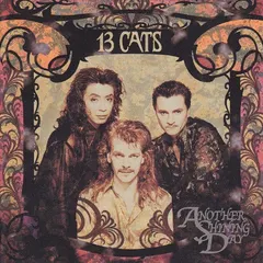 13 Cats (2) – Another Shining Day (CD, Album)