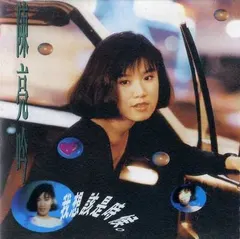 陳亮吟 – 我想該是時候 (CD, Album)