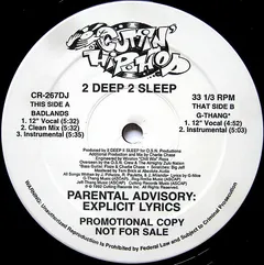 2 Deep 2 Sleep – Badlands / G-Thang (Vinyl, 12")