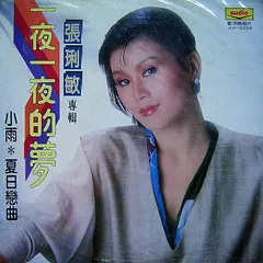 張琍敏* – 一夜一夜的夢 (Vinyl, LP)