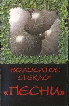 Волосатое Стекло – Песни (Cassette, Compilation)