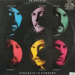 38 Special (2) PGP RTB – Strength In Numbers (Vinyl, LP)