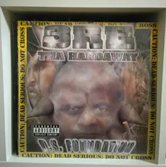3re Tha Hardaway* – D.S. Foundation (Vinyl, LP)