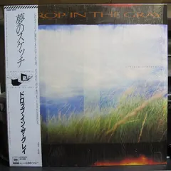 A Drop In The Gray – Certain Sculptures (Vinyl, LP)
