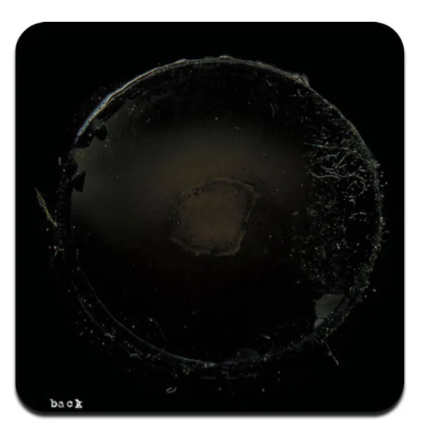Aaron Martin (2) / Part Timer – Seed Collection