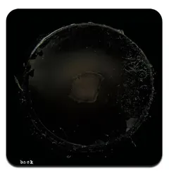 Aaron Martin (2) / Part Timer – Seed Collection (CDr, Mini)