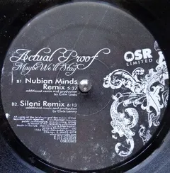 Actual Proof – Maybe We'll Stay (Vinyl, 12")