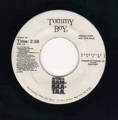 Afrika Bambaataa – Bambaataa's Theme (Assault On Precinct 13) (Vinyl, 7")