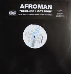 Afroman – Because I Got High (Vinyl, 12")