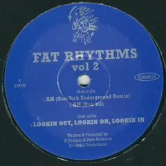 Al Temper & Pete Anderton – Fat Rhythms Vol 2 (Vinyl, 12")