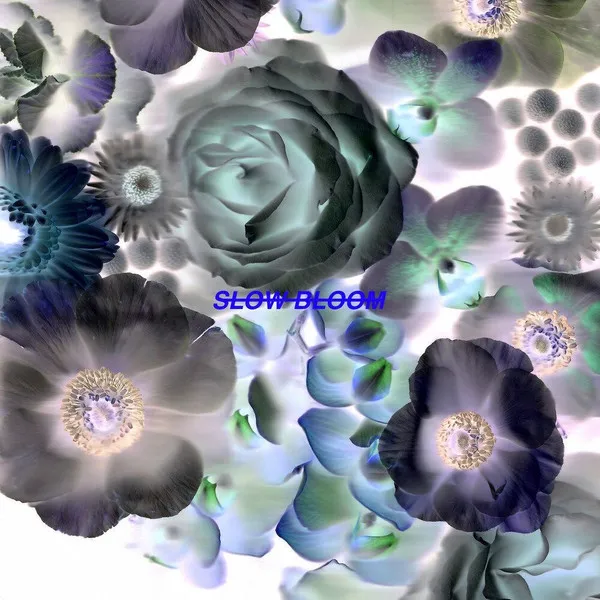 Alpines – Slow Bloom