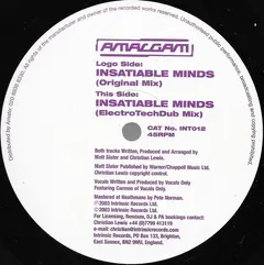 Amalgam – Insatiable Minds (Vinyl, 12")