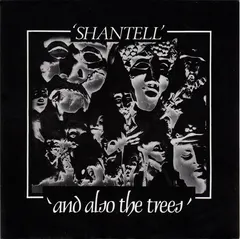 And Also The Trees – Shantell (Vinyl, 7")