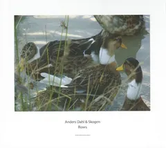 Anders Dahl & Skogen – Rows (CD, Album)