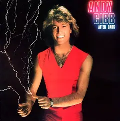 Andy Gibb – After Dark (Vinyl, LP)
