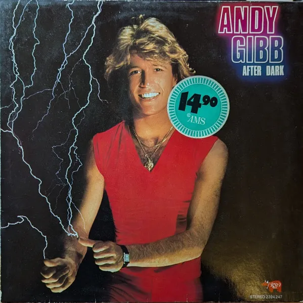 Andy Gibb – After Dark