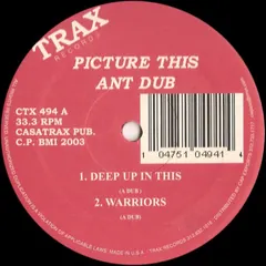 Ant Dub – Picture This (Vinyl, 12")