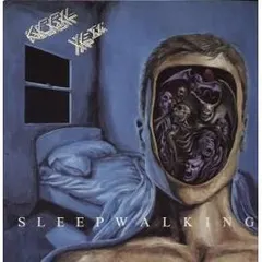 April 16th – Sleepwalking (Vinyl, LP)