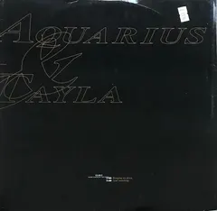 Aquarius & Tayla – Bringing Me Down (Vinyl, 12")