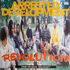 Arrested Development – Revolution (Vinyl, 12")