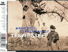Arrested Development – Tennessee (CD, Single)
