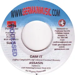 Assasin* – Dam It (Vinyl, 7")