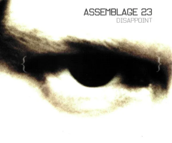 Assemblage 23 – Disappoint