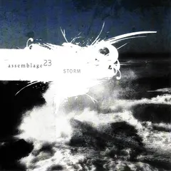 Assemblage 23 Metropolis – Storm (CD, Album)