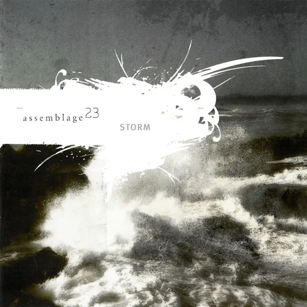 Assemblage 23 – Storm