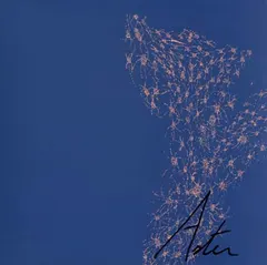 Aster (5) – Things That Just Happen (Vinyl, LP)