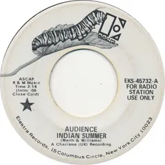 Audience (2) – Indian Summer (Vinyl, 7")