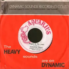 Augustus Pablo – Reggae In The Fields (Vinyl, 7")