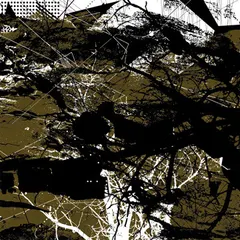 Aun (2) – Blackhorse (CD, Album)